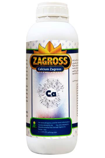 Calcium Zagross